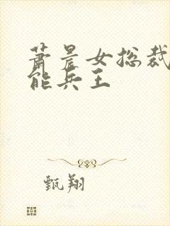 萧晨女总裁的全能兵王