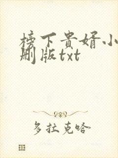 榜下贵婿小说未删版txt