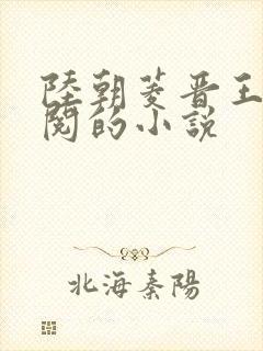 陆朝菱晋王周时阅的小说