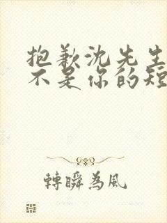 抱歉沈先生孩子不是你的短剧在线免费观看