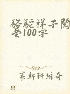 骆驼祥子阅读感受100字