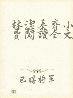 林洁秦齐小说免费阅读全文最新章节