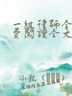 一级律师全文免费阅读全文