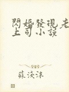 闪婚发现老公是上司小说