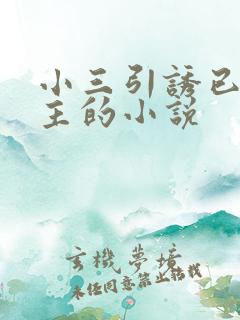 小三引诱已婚男主的小说