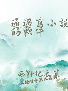 通过写小说赚钱的软件