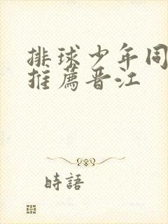 排球少年同人文推荐晋江