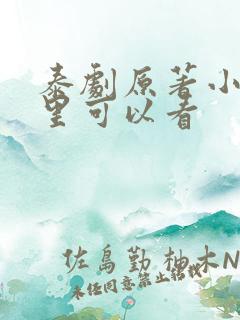 泰剧原著小说哪里可以看