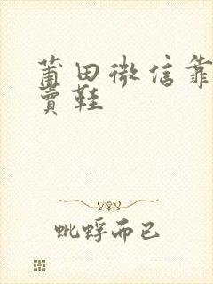 莆田微信靠谱的卖鞋