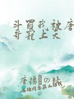 斗罗我被唐三哥哥宠上天