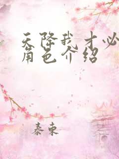 天降我才必有用角色介绍