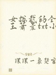 女总裁的全能兵王萧晨txt小说下载