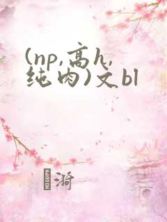 (np,高h,纯肉)文bl