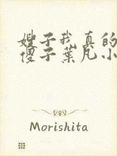 嫂子我真的不是傻子叶凡小说 原名