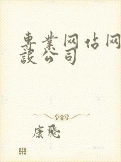 专业网站网站建设公司