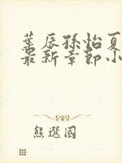 叶辰孙怡夏若雪最新章节小说