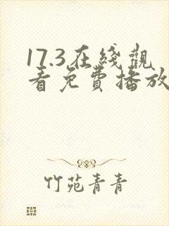 17.3在线观看免费播放电视剧