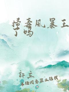 扫毒风暴王辉醒了吗