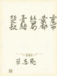 楚青丝黄震与陈叔结局都市佳人