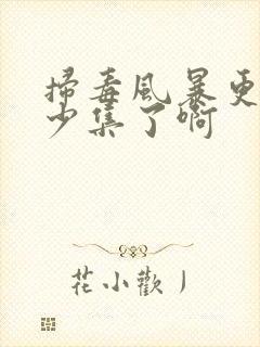 扫毒风暴更新多少集了啊