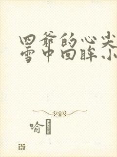 四爷的心尖宠妃雪中回眸小说免费完本