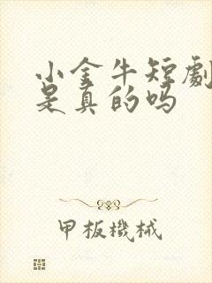 小金牛短剧赚钱是真的吗