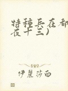 特种兵在都市(夜十三)