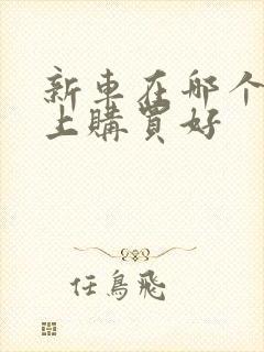 新车在哪个网站上购买好