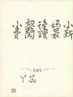 小黎后妈小说免费阅读最新章节更新