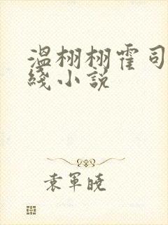 温栩栩霍司爵在线小说