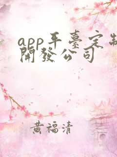 app平台定制开发公司