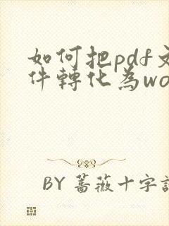 如何把pdf文件转化为word文档