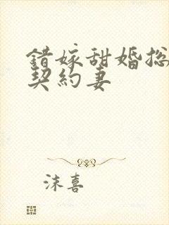 错嫁甜婚总裁的契约妻