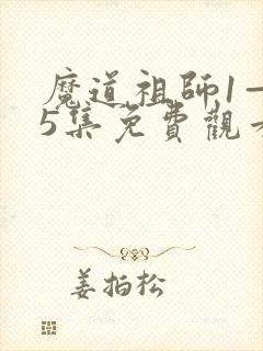 魔道祖师1—35集免费观看
