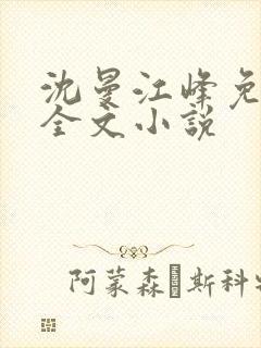 沈曼江峰免费读全文小说