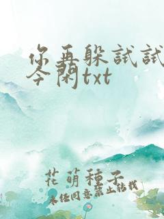 你再躲试试by今闲txt