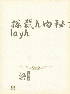 总裁h肉秘书playh