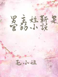 男主姓靳是检察官的小说