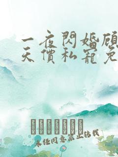 一夜闪婚顾少的天价私宠免费阅读