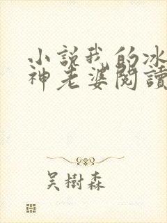 小说我的冰山女神老婆阅读