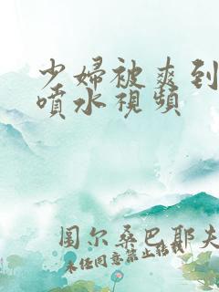 少妇被爽到高潮喷水视频