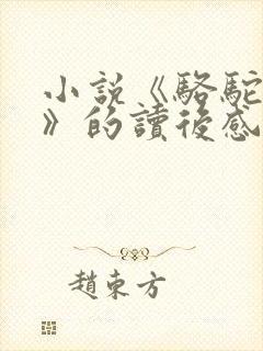 小说《骆驼祥子》的读后感