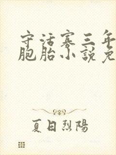 守活寡三年带双胞胎小说免费阅读