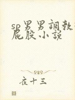 sp男男调教打屁股小说