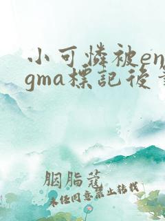 小可怜被enigma标记后笔趣阁无弹窗免