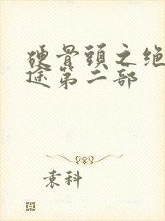 硬骨头之绝地归途第二部