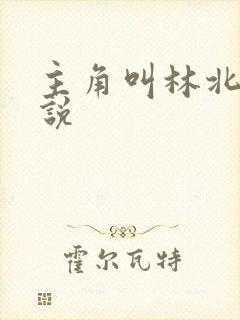 主角叫林北的小说