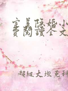 完美隐婚小说免费阅读全文