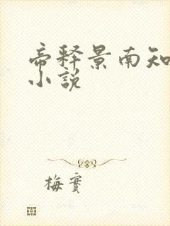 帝释景南知意的小说