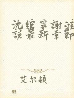 沈绾宁谢淮今小说最新章节免费阅读